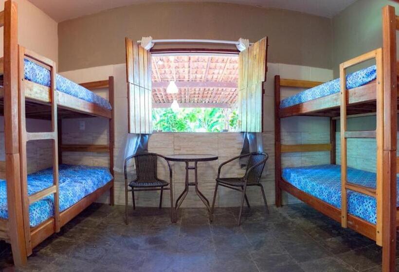 Кровать в Общей Комнате, Abaquar Hostel