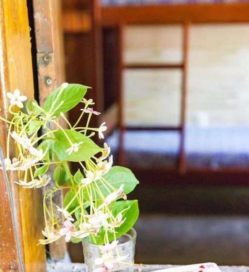 Кровать в Общей Комнате, Abaquar Hostel