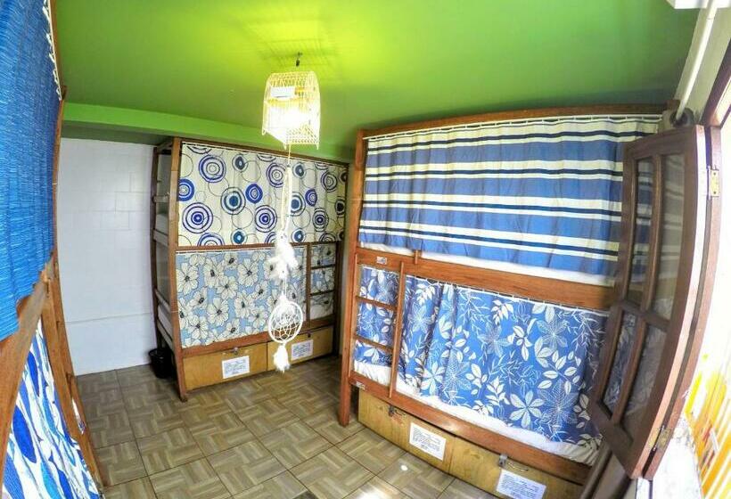 공동 객실, Local Hostel Manaus