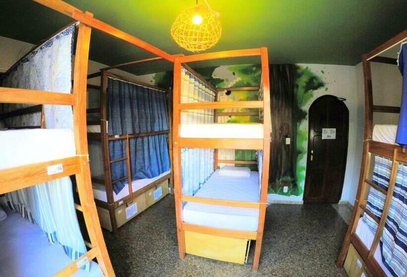 공동 객실, Local Hostel Manaus