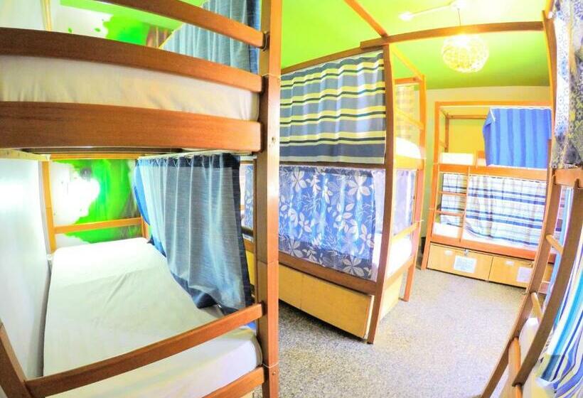 Кровать в Общей Комнате, Local Hostel Manaus