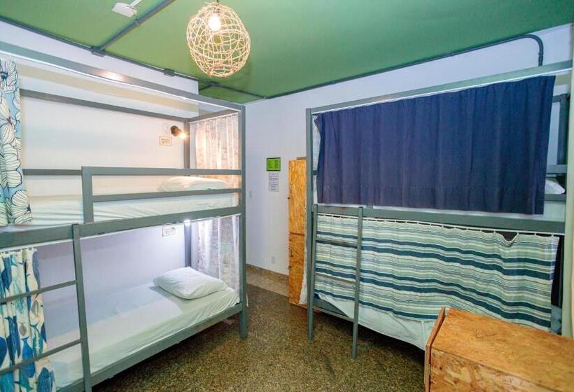 공동 객실, Local Hostel Manaus