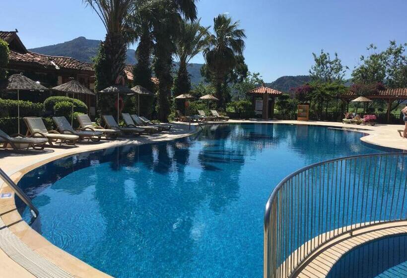 Standard Room Pool View, Asur Hotel & Aparts & Villas