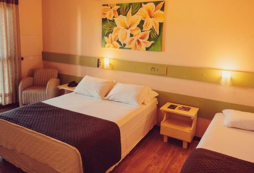 Апартаменты Executive 1 Спальня, Petropolis