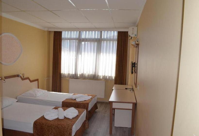 اتاق اکونومی, Ayvalık Palas