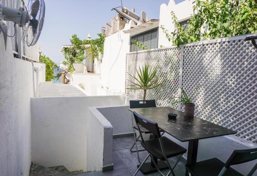 استودیو استاندارد با بالکن, Daphnis