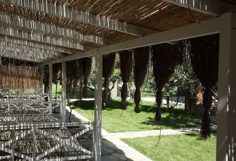 اتاق استاندارد چهار تخته, Daphnis