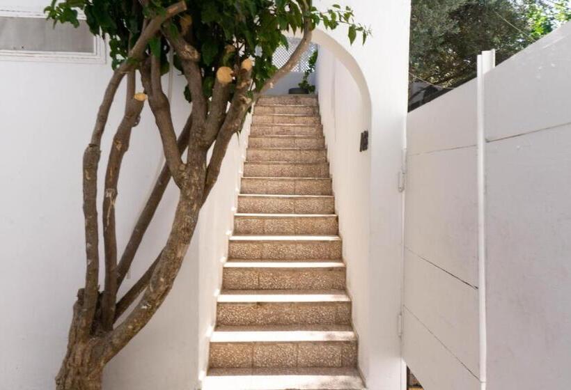 اتاق خانوادگی, Daphnis