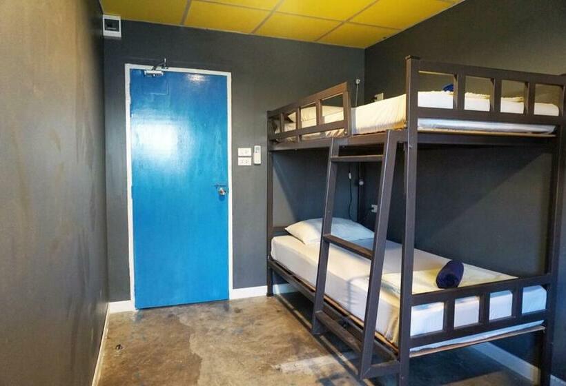 공동 객실, B&b House & Hostel