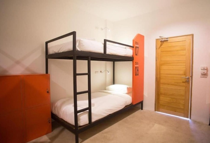 Кровать в Общей Комнате, Mad Monkey Chiang Mai   Hostel