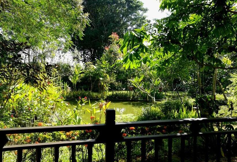 اتاق استاندارد با چشم‌انداز باغ, Villa Albizia, Chiang Mai