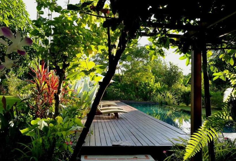 اتاق استاندارد با چشم‌انداز کوهستان, Villa Albizia, Chiang Mai
