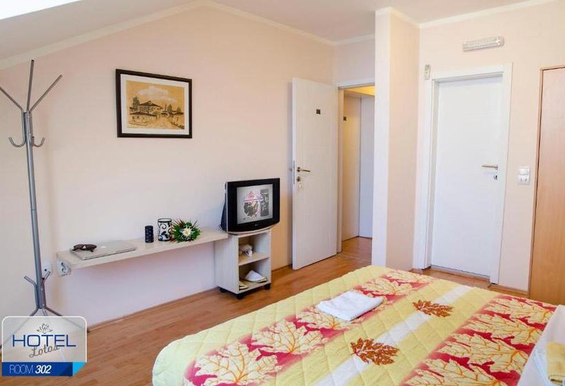 اتاق استاندارد یک نفره, Garni Hotel Lotos