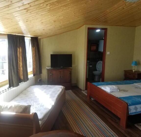 اتاق لوکس سه تخته, Hostel Otard
