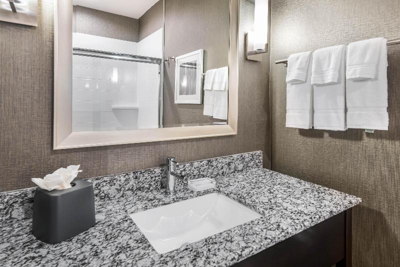 Люкс Кровать Квин, Holiday Inn Hotel & Suites Silicon Valley – Milpitas, An Ihg