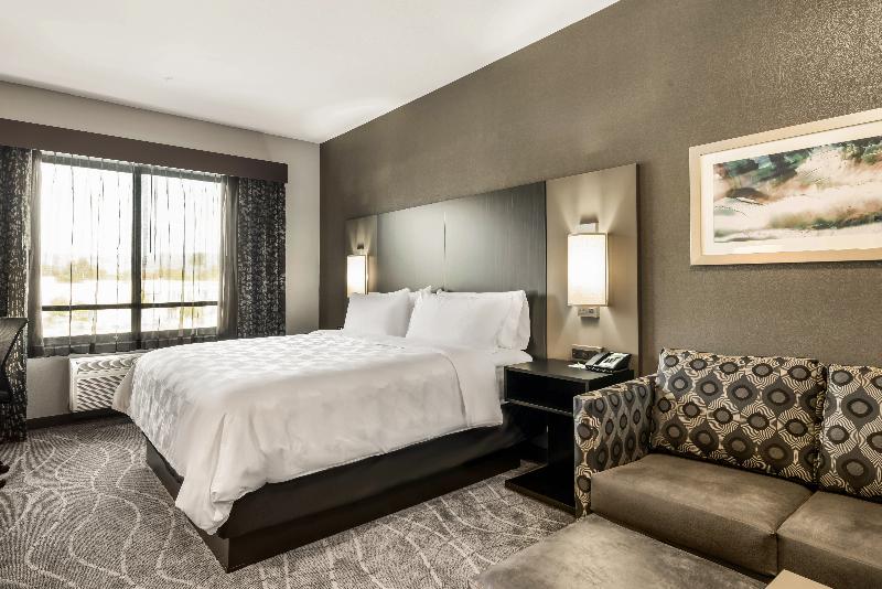 Номер Стандарт, Holiday Inn Hotel & Suites Silicon Valley – Milpitas, An Ihg
