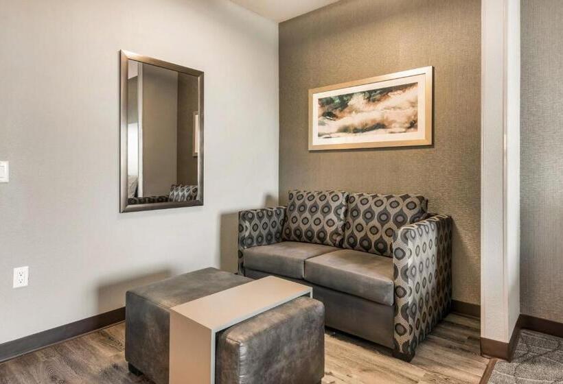Люкс Кровать Квин, Holiday Inn Hotel & Suites Silicon Valley – Milpitas, An Ihg