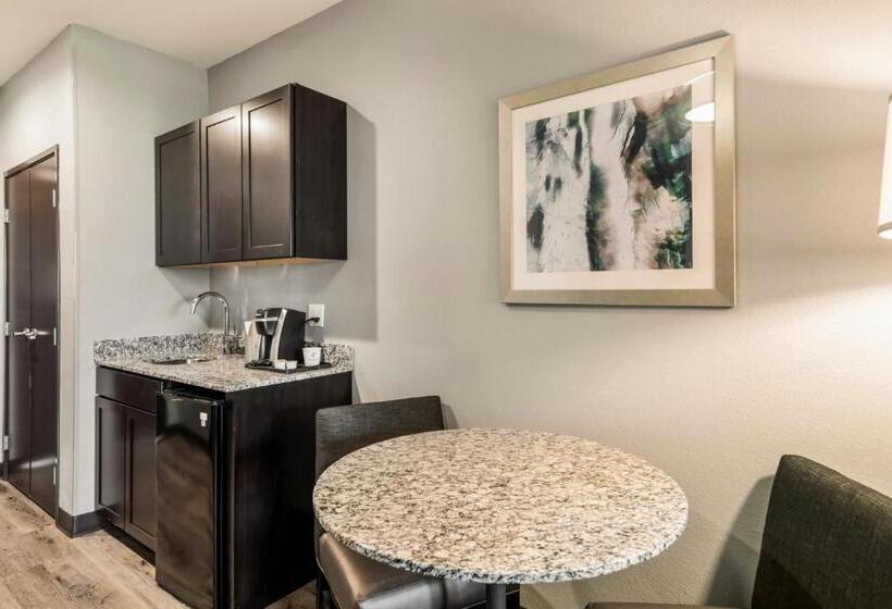 Студия Стандарт, Holiday Inn Hotel & Suites Silicon Valley – Milpitas, An Ihg