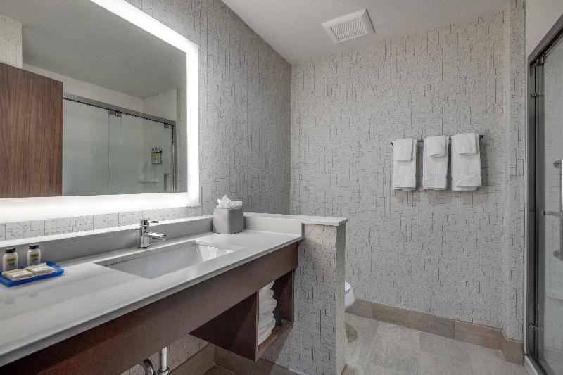 Pokój Standard Łóżko King Size, Holiday Inn Express & Suites Dallas North   Addison, An Ihg