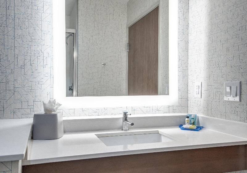 Pokój Typu Standard Łóżko King Przystosowany dla Osób Niepełnosprawnych, Holiday Inn Express & Suites Dallas North   Addison, An Ihg