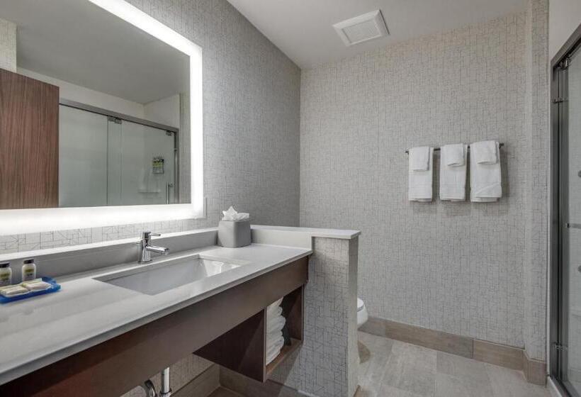 Suite, Holiday Inn Express & Suites Dallas North   Addison, An Ihg