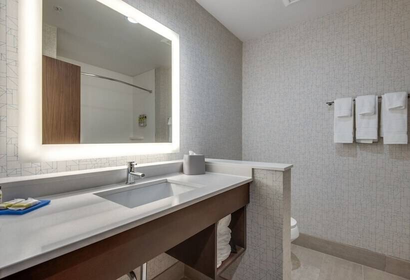 Suite, Holiday Inn Express & Suites Dallas North   Addison, An Ihg