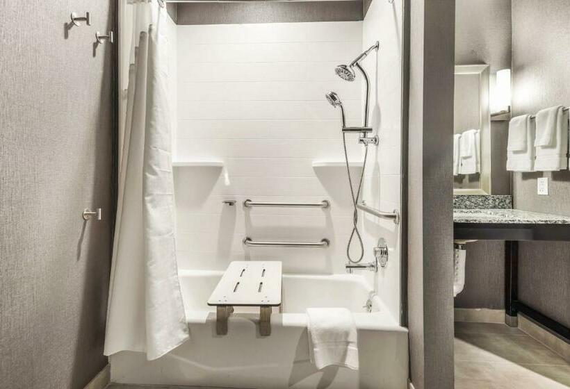 Люкс Адаптированный для Инвалидов, Holiday Inn Hotel & Suites Silicon Valley – Milpitas, An Ihg