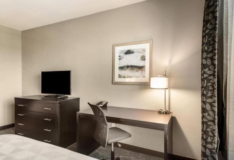 Номер Стандарт, Holiday Inn Hotel & Suites Silicon Valley – Milpitas, An Ihg