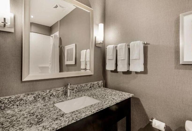 Люкс, Holiday Inn Hotel & Suites Silicon Valley – Milpitas, An Ihg