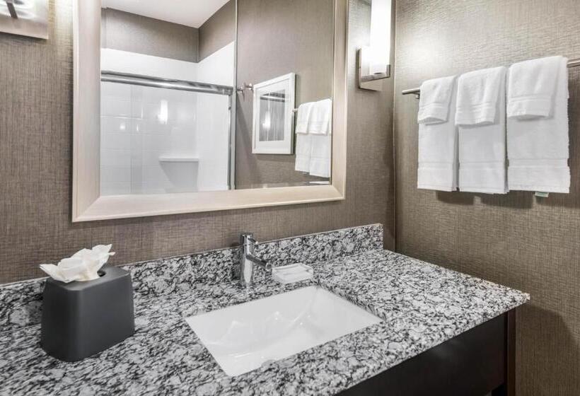 Люкс Кровать Кинг, Holiday Inn Hotel & Suites Silicon Valley – Milpitas, An Ihg
