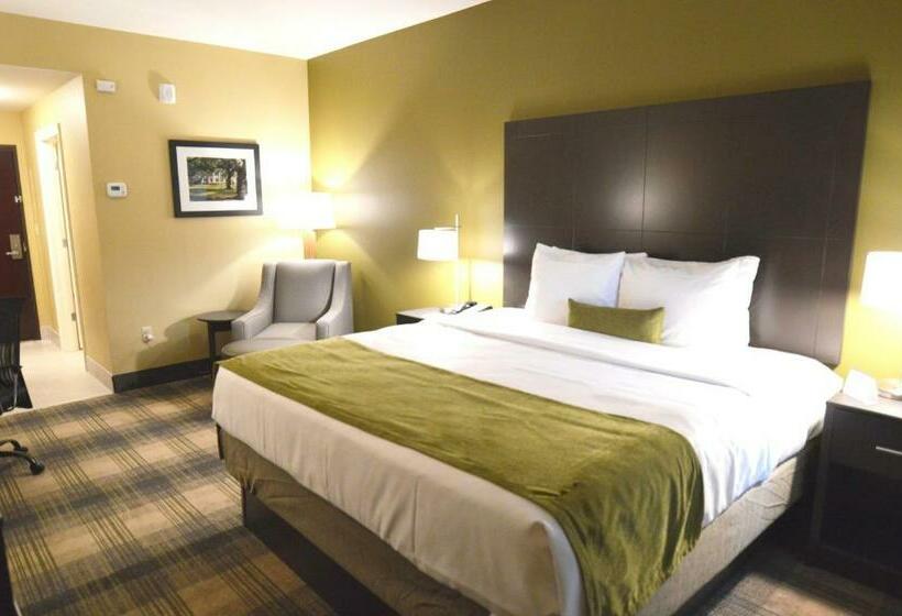 キングサイズベッドのスタンダードルーム, Best Western Plus New Orleans Airport