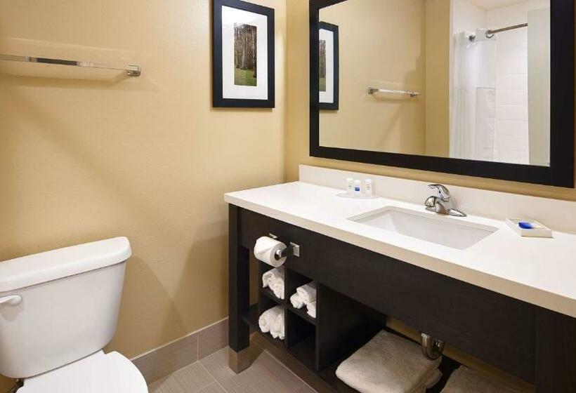 キングサイズベッドのスイートルーム, Best Western Plus New Orleans Airport