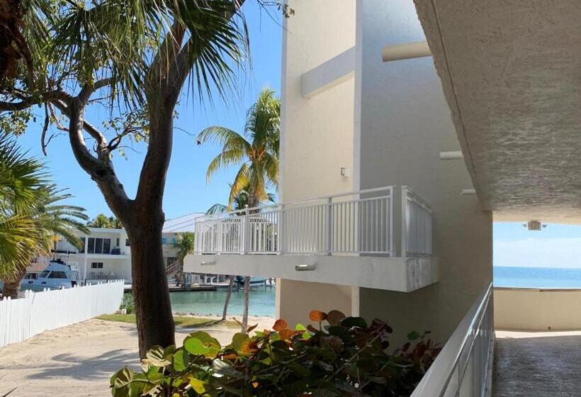 １ベッドルームアパートメント, Caloosa Cove Resort