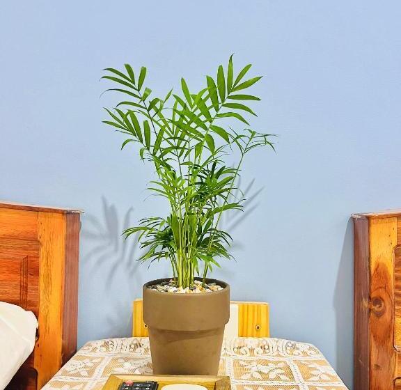 اتاق سوپریور چهار تخته, A.n Homestay