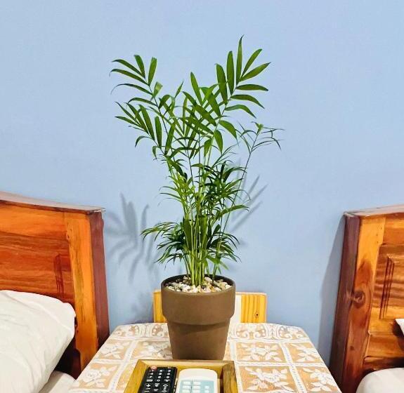اتاق سوپریور چهار تخته, A.n Homestay