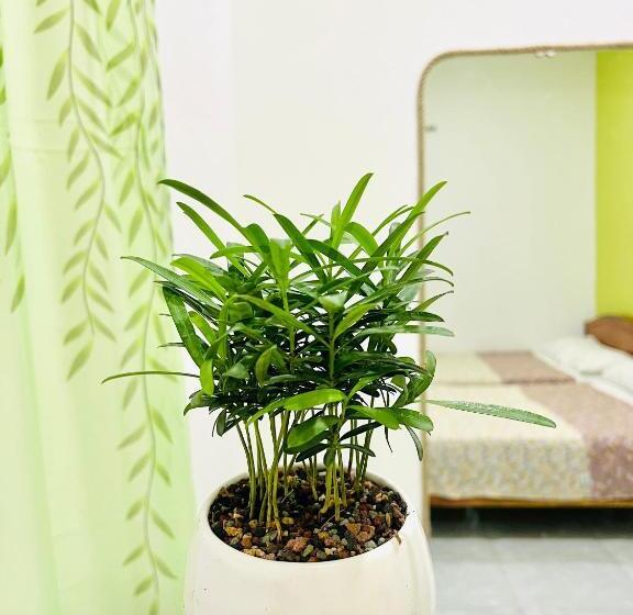 اتاق سوپریور چهار تخته, A.n Homestay