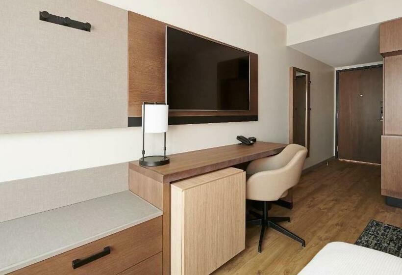 장애인을 위한 스탠다드 룸, Hyatt Place Albany/downtown