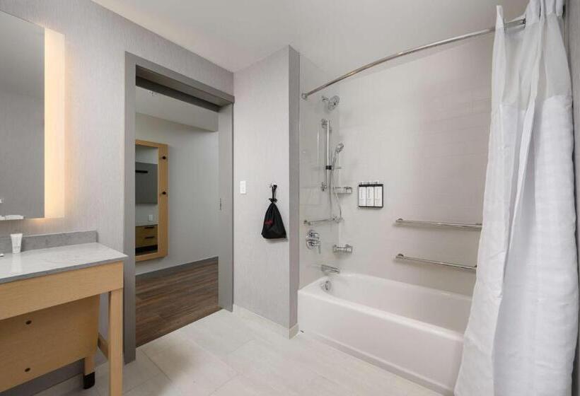 장애인을 위한 스탠다드 룸, Hyatt Place Albany/downtown