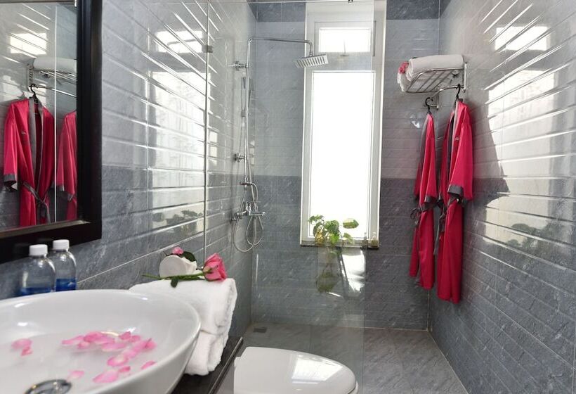 اتاق سوپریور, Flamingo Villa Hoi An