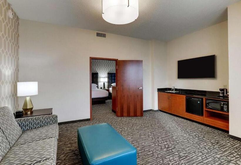 חדר דלוקס מיטת קווין, Drury Plaza Hotel Dallas Arlington