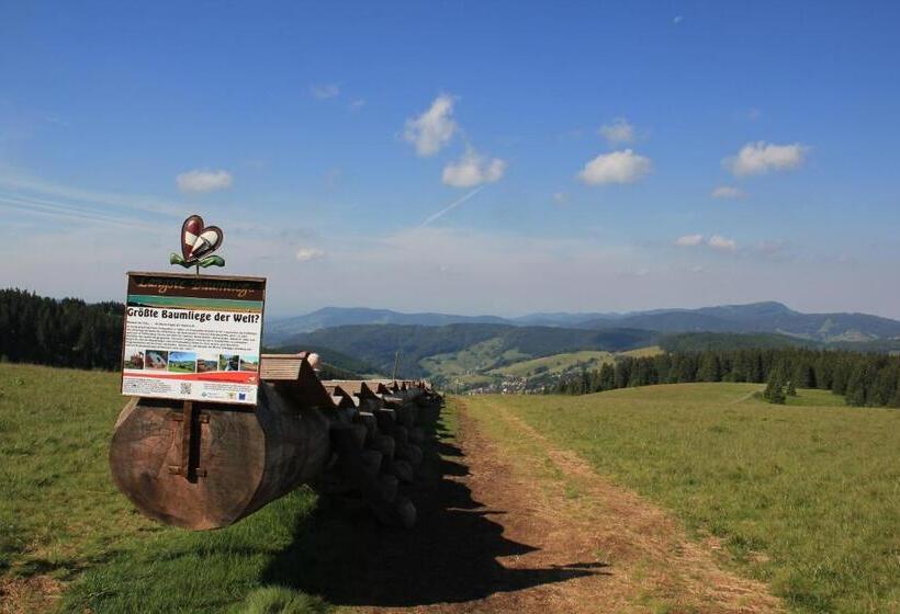 Апартаменты 1 Спальня с Террасой, Pension Glöcklehof