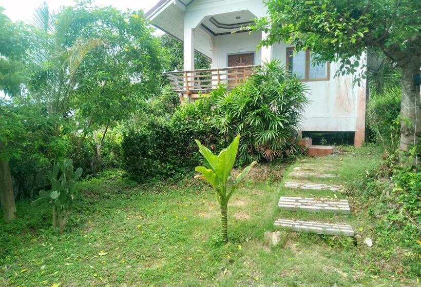 Номер Стандарт, Lanta Msd House