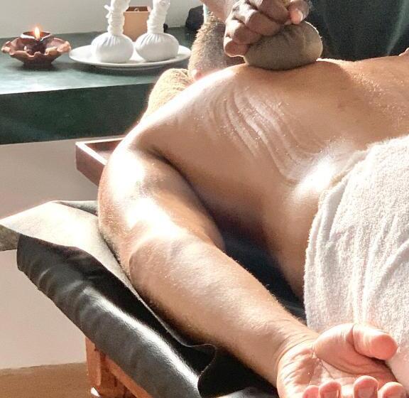 Номер Deluxe, Palm Garden Ayurveda Resort
