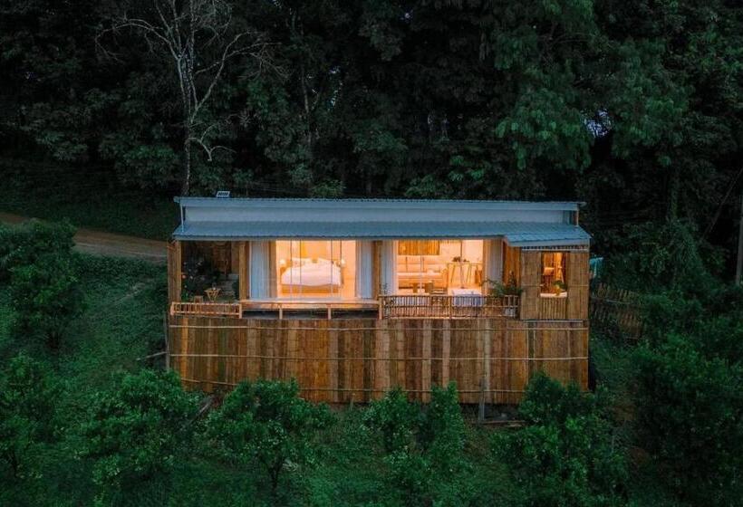 اتاق لوکس, Paopao Orange Farm And Home Stay