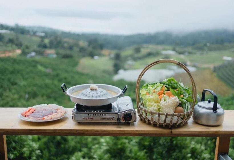 اتاق لوکس, Paopao Orange Farm And Home Stay