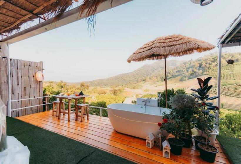 اتاق استاندارد, Paopao Orange Farm And Home Stay