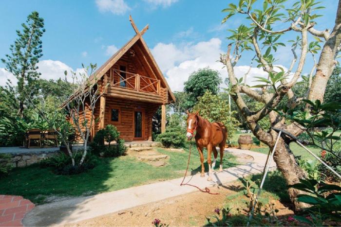 کلبه ییلاقی, Greenfield Farmstay