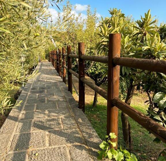 اتاق سوپریور, Terre Villa Katia
