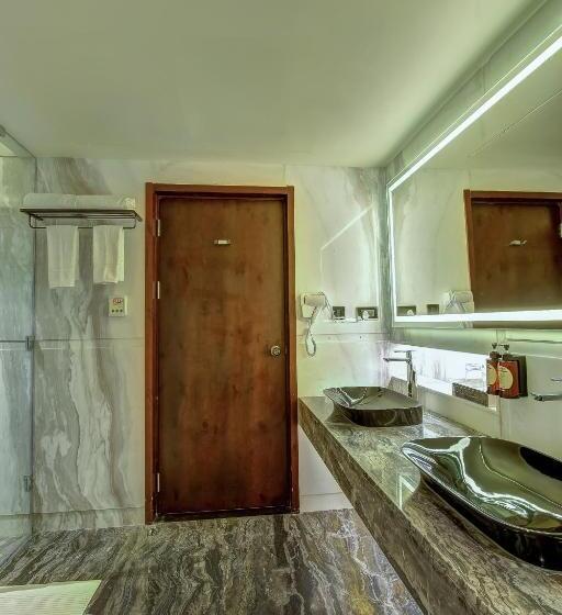 带城市景观的套间, Regenta Central Javaji Mysore