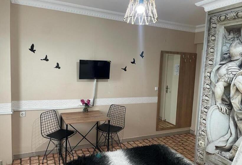 اتاق استاندارد با بالکن, Terrace Boutique Otel